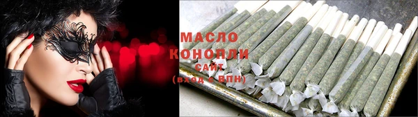 индика Ступино
