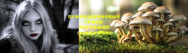PSILOCYBIN Сим