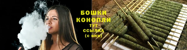 индика Ступино