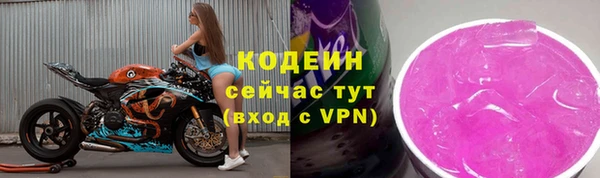 индика Ступино