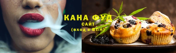 индика Ступино