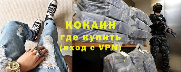 индика Ступино