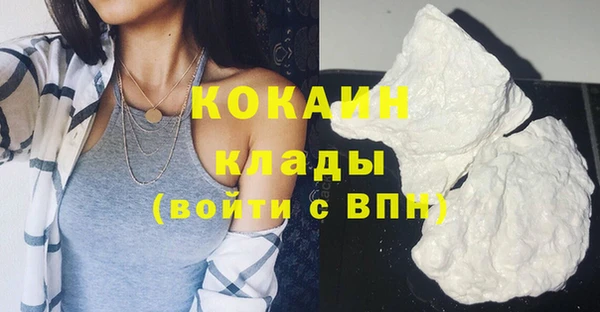 индика Ступино