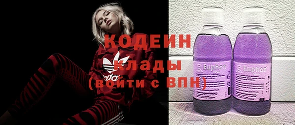 индика Ступино