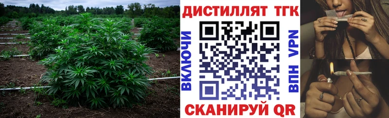 Дистиллят ТГК концентрат  hydra маркетплейс  Томари 